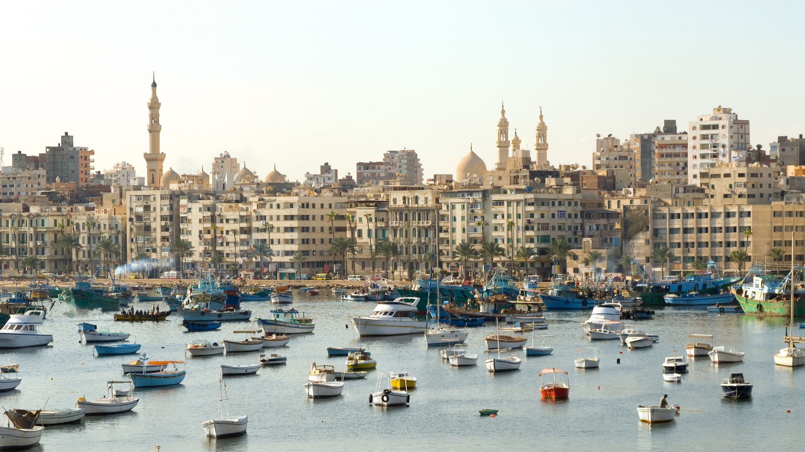 Child fishing on Alexandria's rocky waterfront with the city skyline stretching across the Mediterranean under a clear blue sky