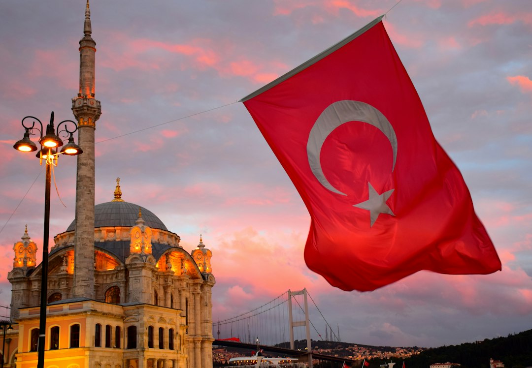 Galata Tower rising above Istanbul's dense hillside cityscape at golden hour, with seagulls filling the clear sky