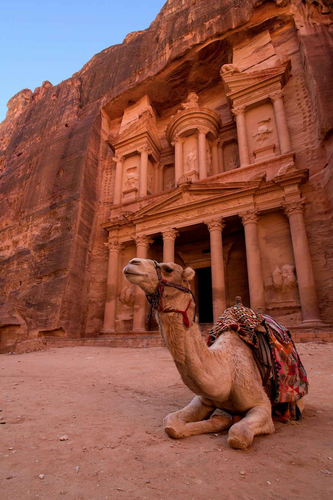 Decorated camel resting on sandy ground before Petra's Treasury facade carved into rose-red sandstone cliffs, Jordan